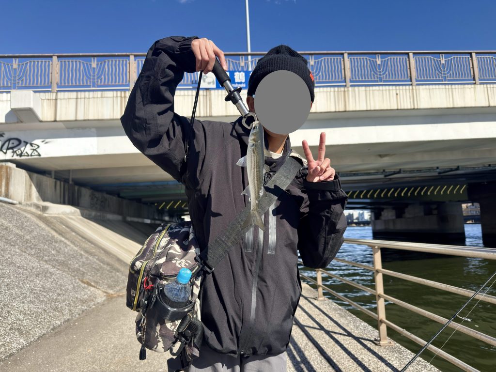 20センチくらいのイナッコが釣れた